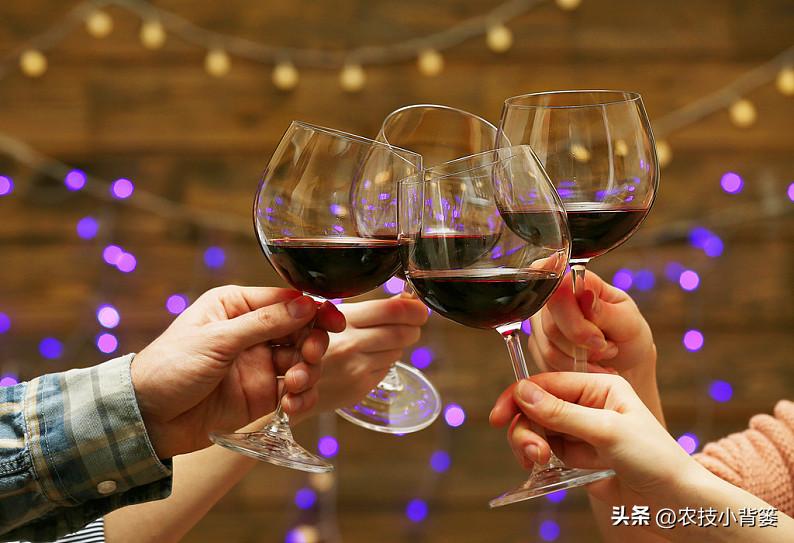 国产红酒怎么做,进口红酒怎么做内销