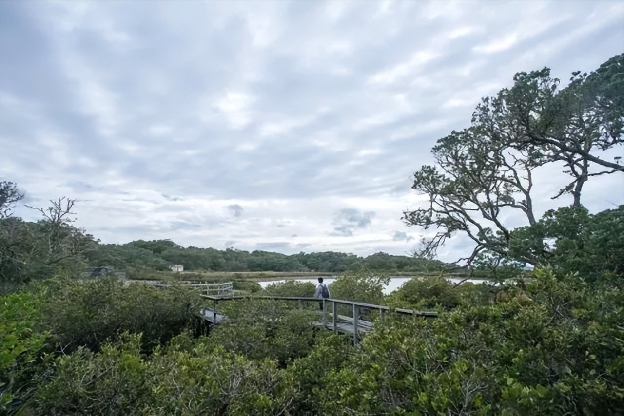 游记分享推送,游记分享我的旅行日记