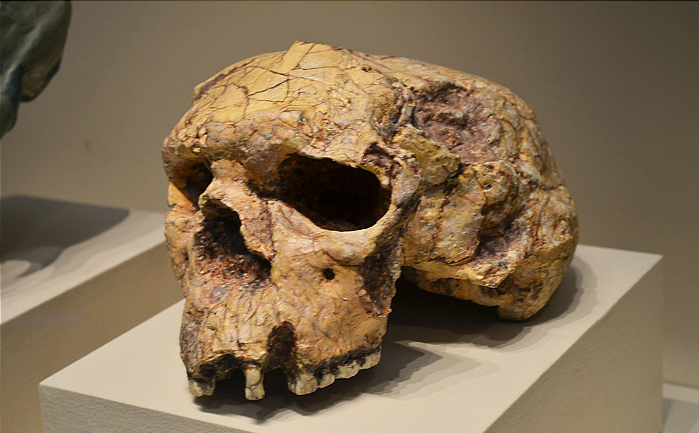 湖北省十堰市郧阳区有什么,十堰郧阳区包括哪些地方