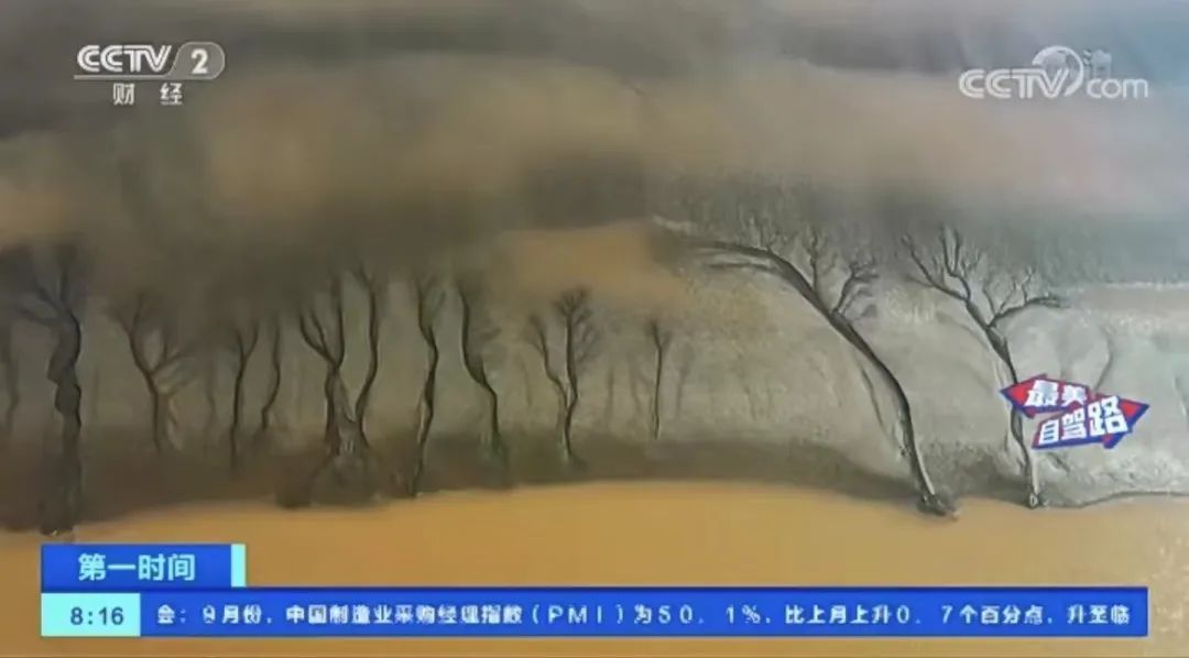 《新闻联播》点赞！国庆假期前两天，央视多个栏目连续聚焦盐城