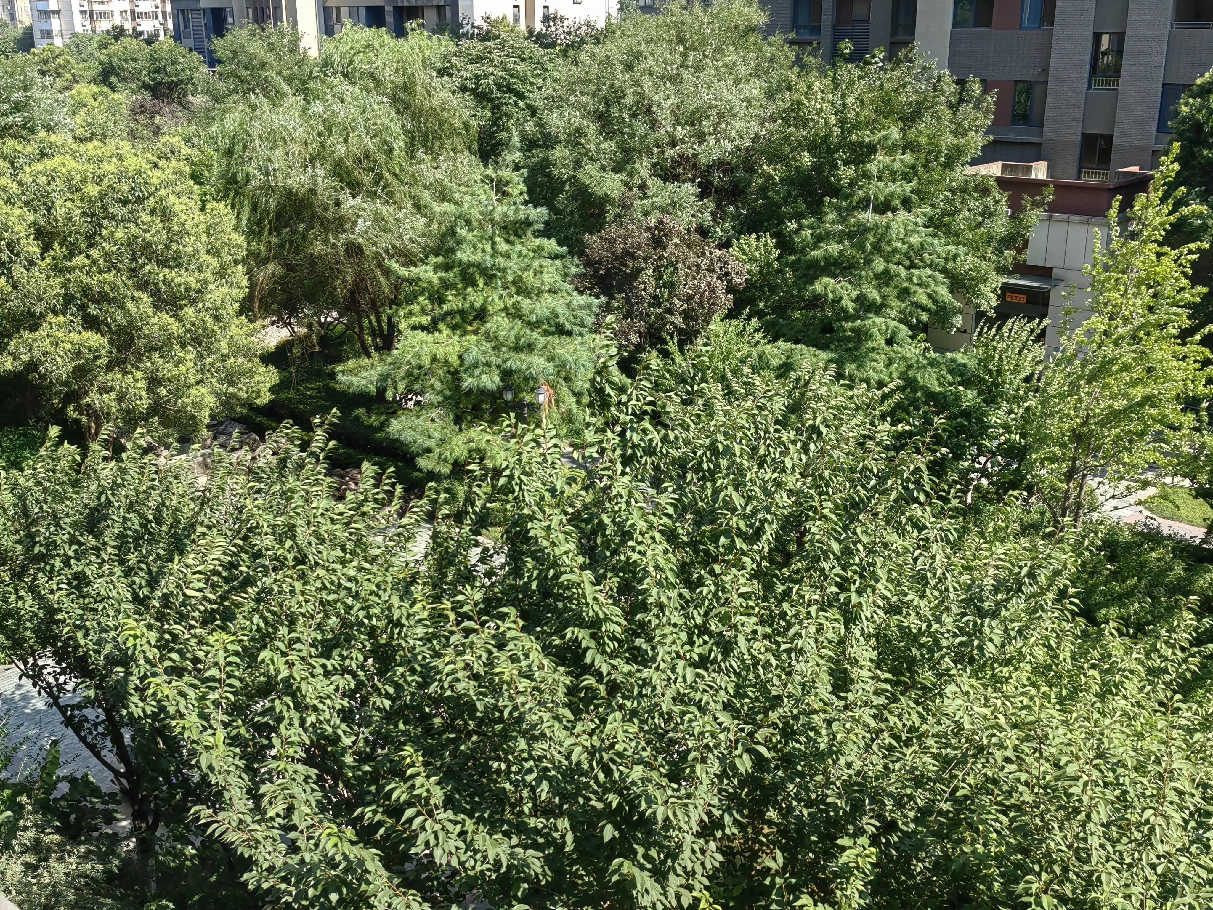 破财消灾是有灾难要来了吗,破财消灾还是破财灭灾