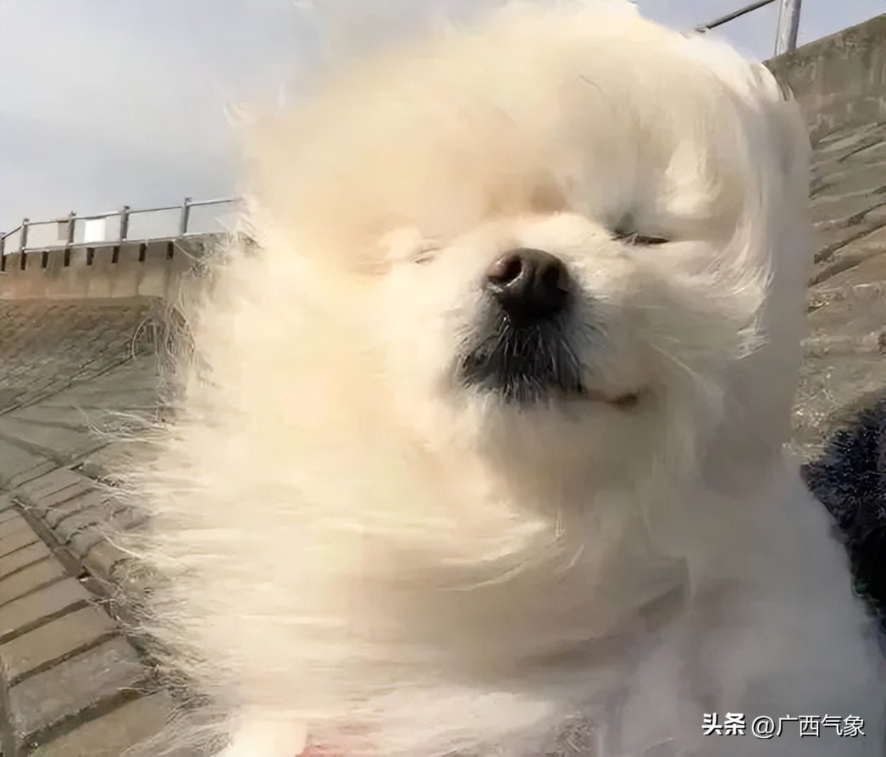 明日凌晨气温降至谷底高寒山区最低零下9℃！初五南风回潮阴云回归后面还会有冷空气吗……