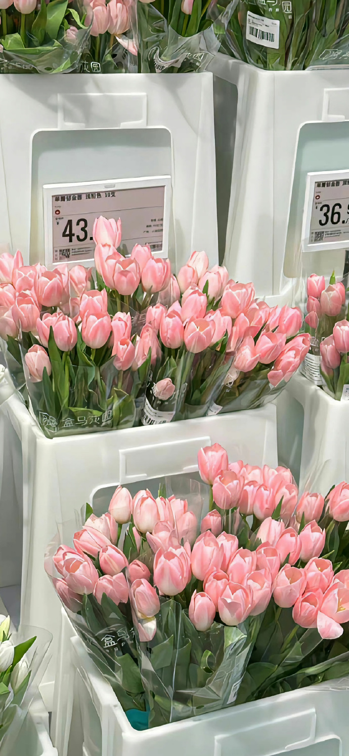 拒绝焦虑壁纸,高清壁纸不要花钱