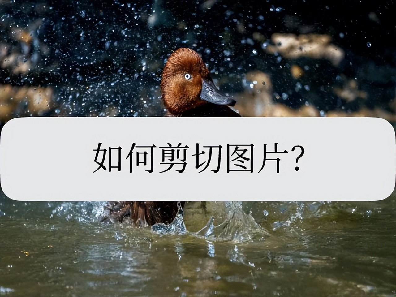 剪映如何剪切图片中间部分,批量剪切图片怎么弄