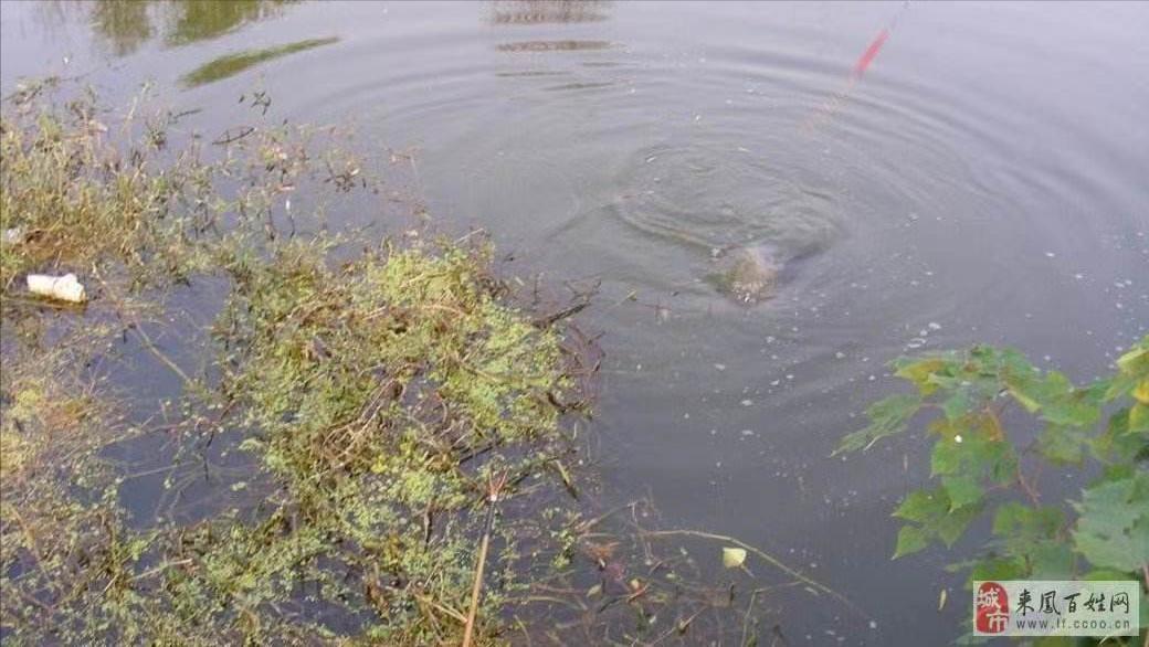 在素冬里，携一份勤劳，品一季安然