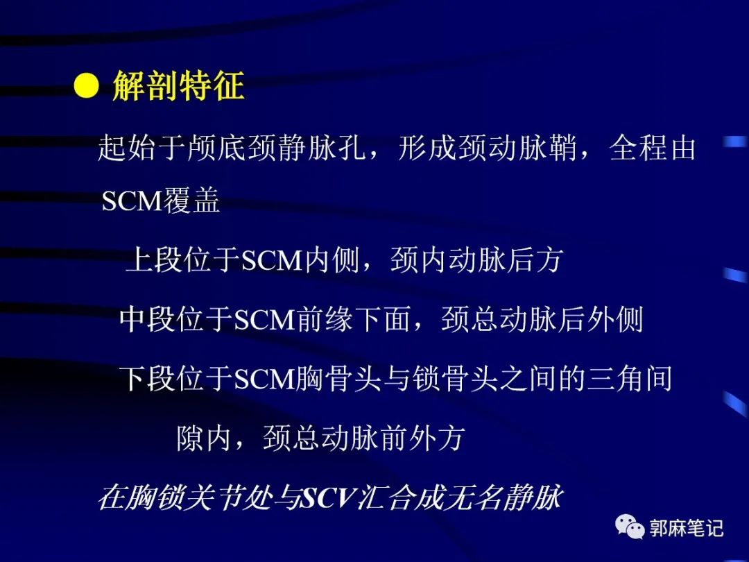 中心静脉穿刺置管术ppt免费,中心静脉置管的护理ppt