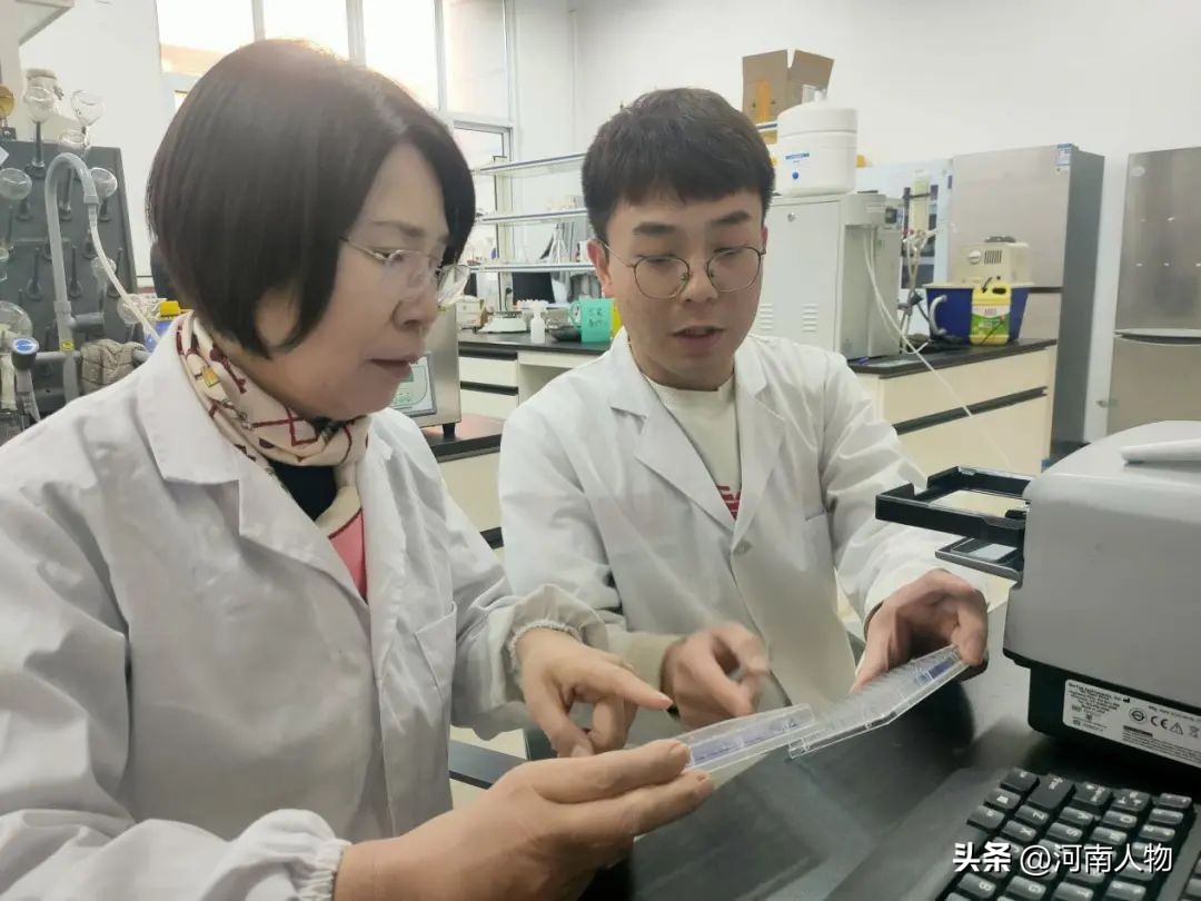 创新“她”力量｜黄继红打破国外垄断让河南小麦端向“世界餐桌”