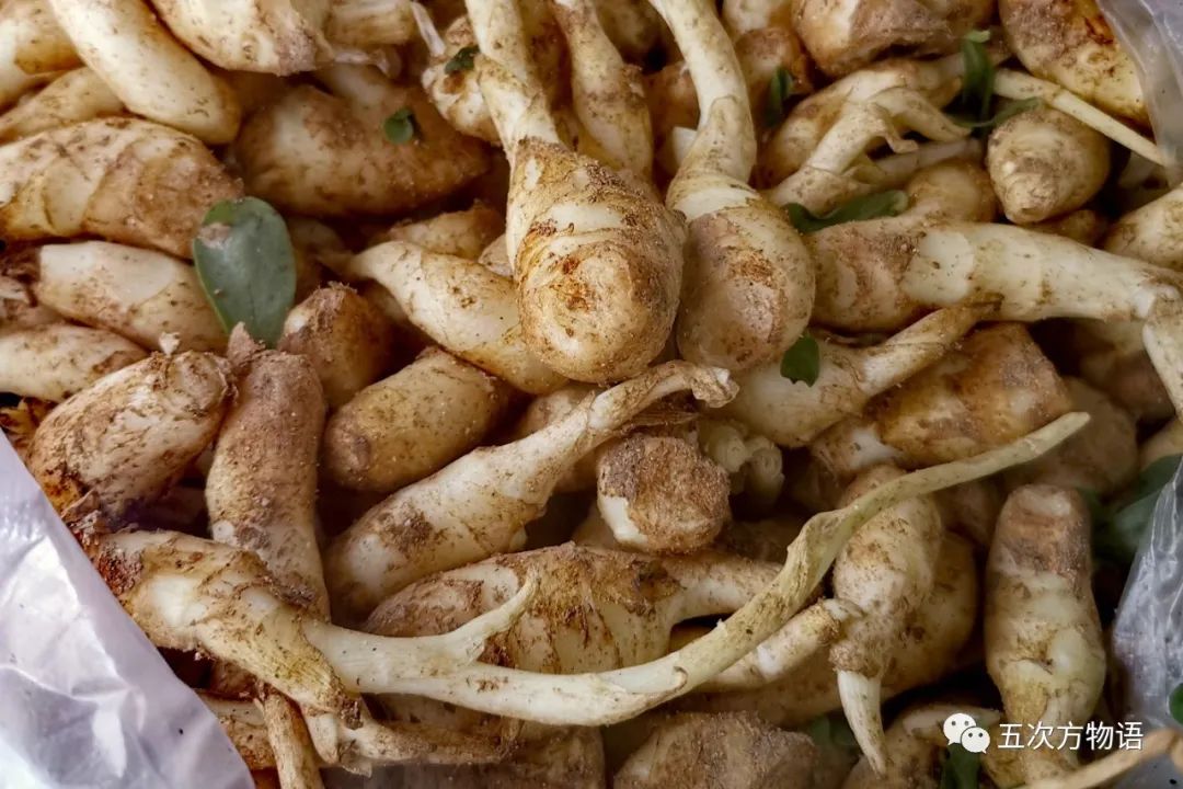 姜类香辛料都包含哪些种,12种必须了解的香料作用和用量