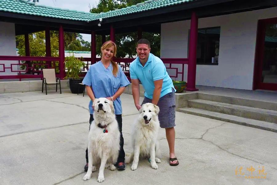 中医鬼才倪海厦的传奇人生,中医鬼才倪海厦传奇一生