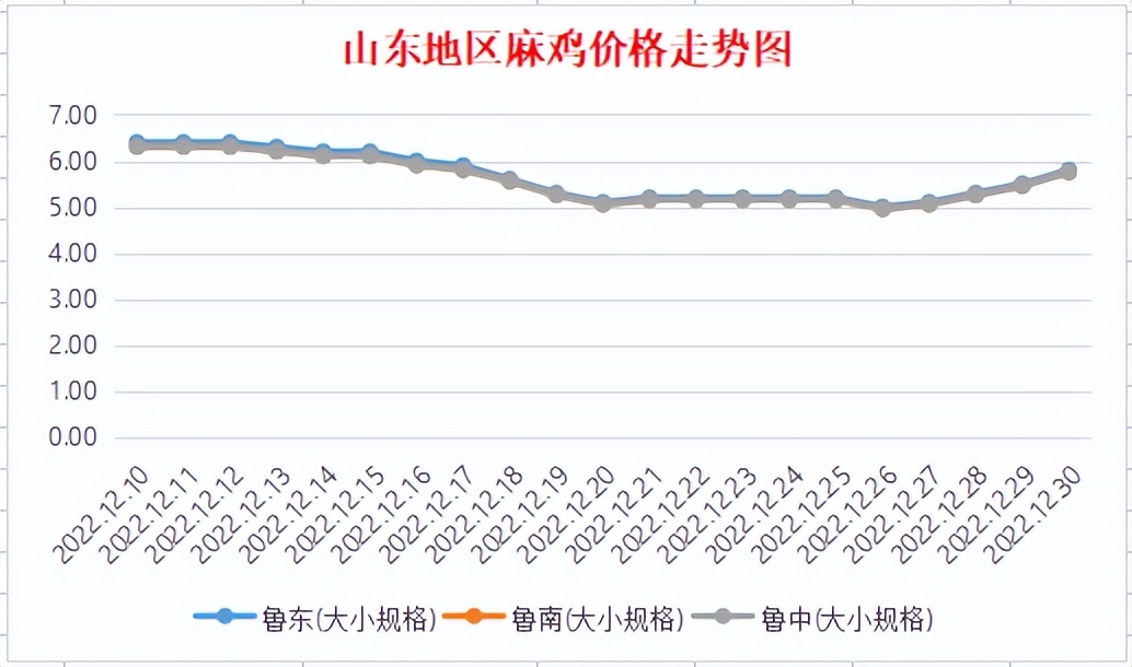 略阳黑鸡小鸡苗价格,青脚麻小鸡苗每日报价