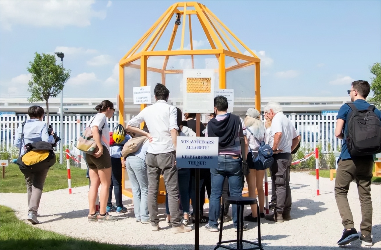 迪士尼乐园二合一美食,世界十大迪士尼乐园美食