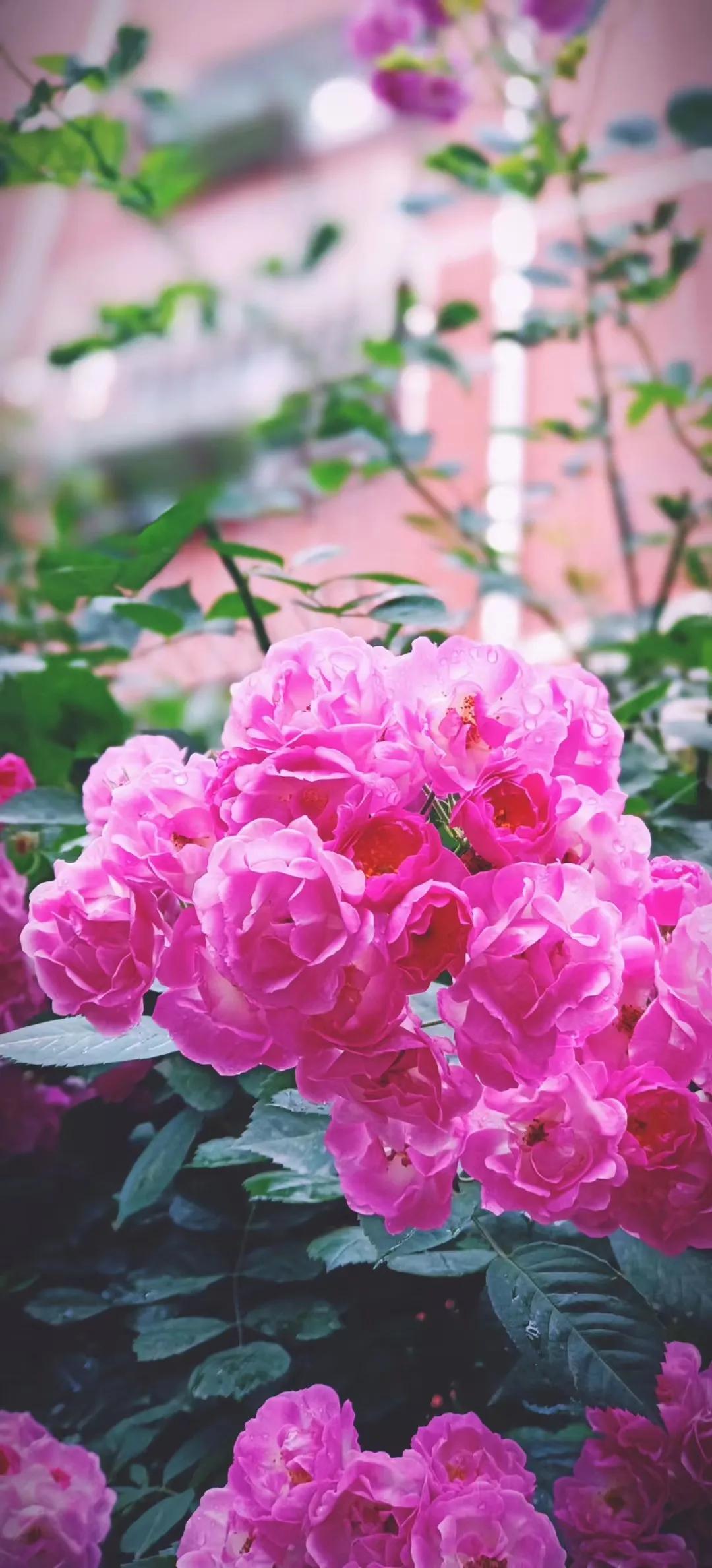 平销返利对增值税的影响,委托代销商品双方增值税怎么处理