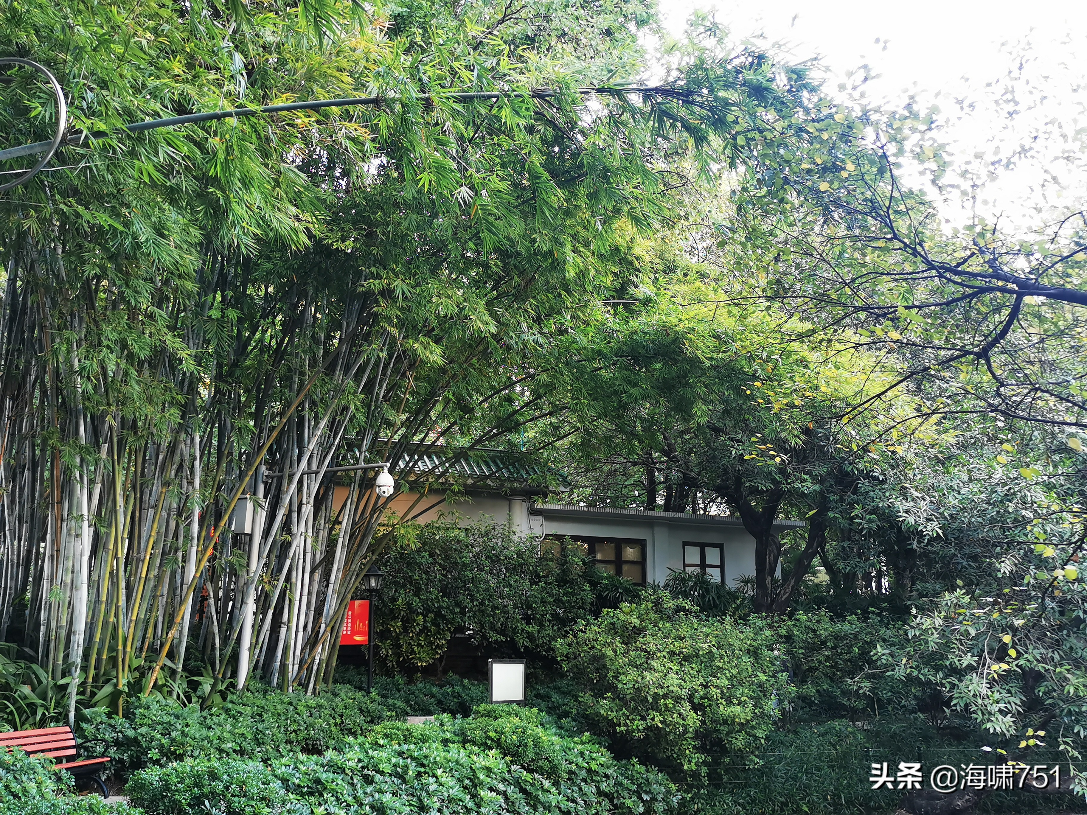 黄花岗公园开放时间,黄花岗公园停车