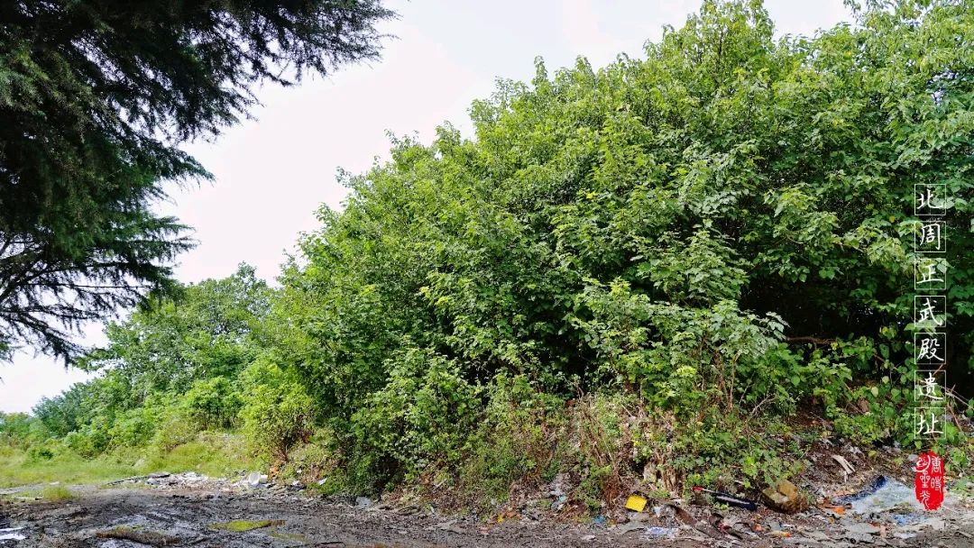 【陕西西安】汉长安城中的北周正武殿遗址帝王梦想的见证人