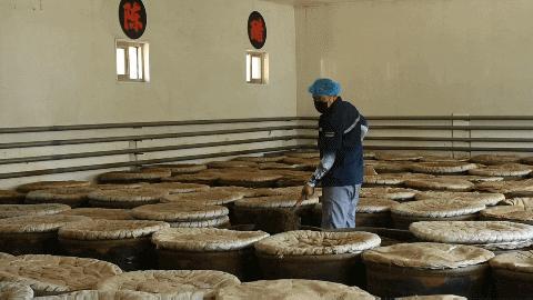 高手在民间师傅的绝活,高手在民间曾仕强