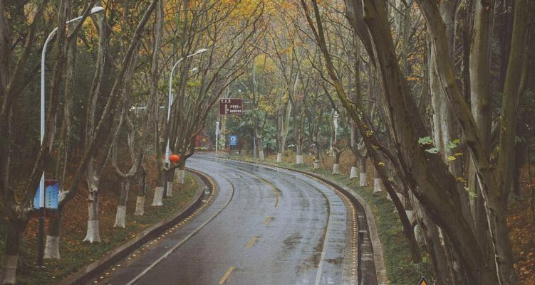 南京一日游多少钱,南京一日游攻略