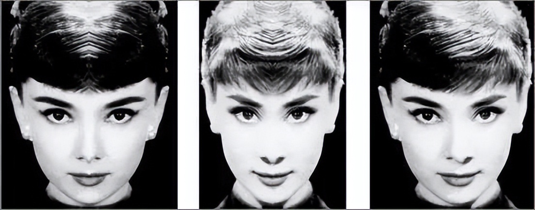 动物的择偶标准,动物择偶