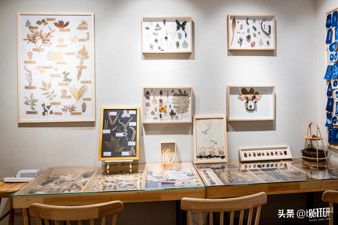 我在这家化石手作店，体验了一把「赌石」的快乐