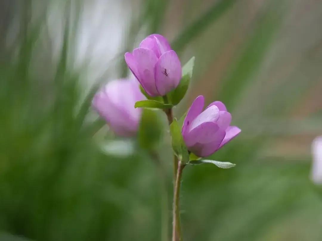 时光荏苒岁月如梭莫要蹉跎岁月,时光荏苒岁月如梭的唯美句子
