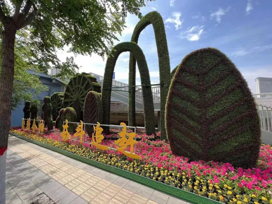 马拉松赛道亮点,马拉松靓图