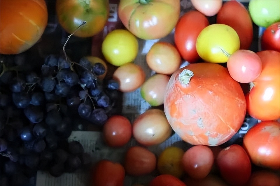 投资新兴产业机会,投资新农业项目有前景吗