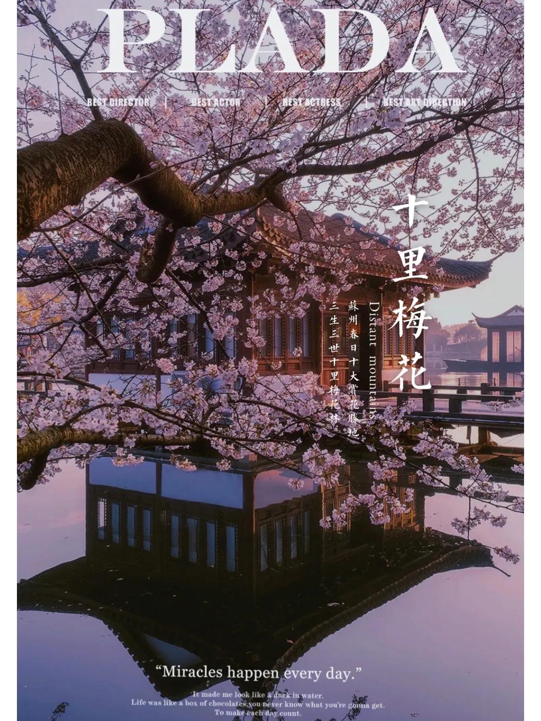 苏州儿童网红打卡地有哪些,苏州网红打卡地先后顺序