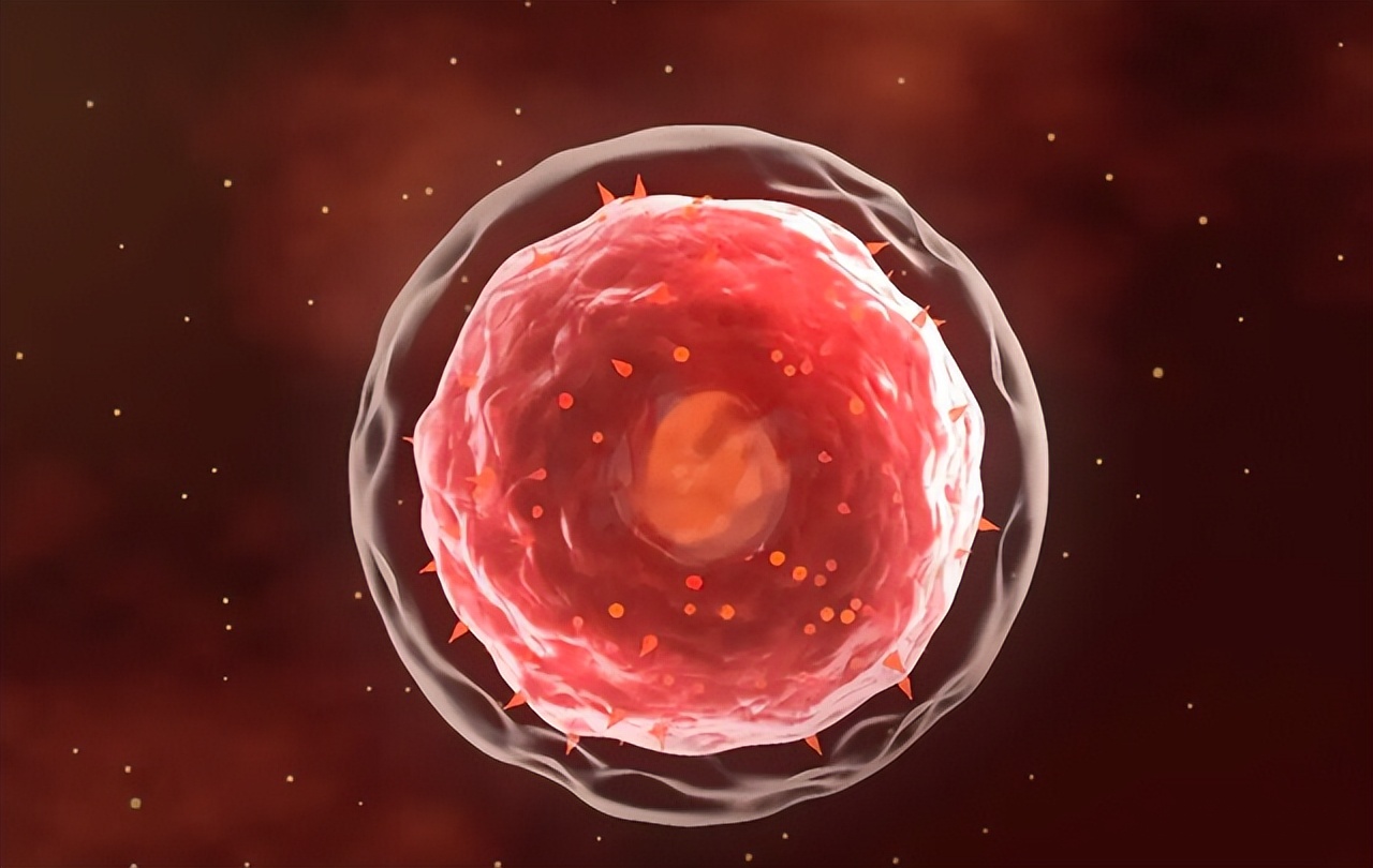 人类动物能混血吗,人类真的能杂交吗