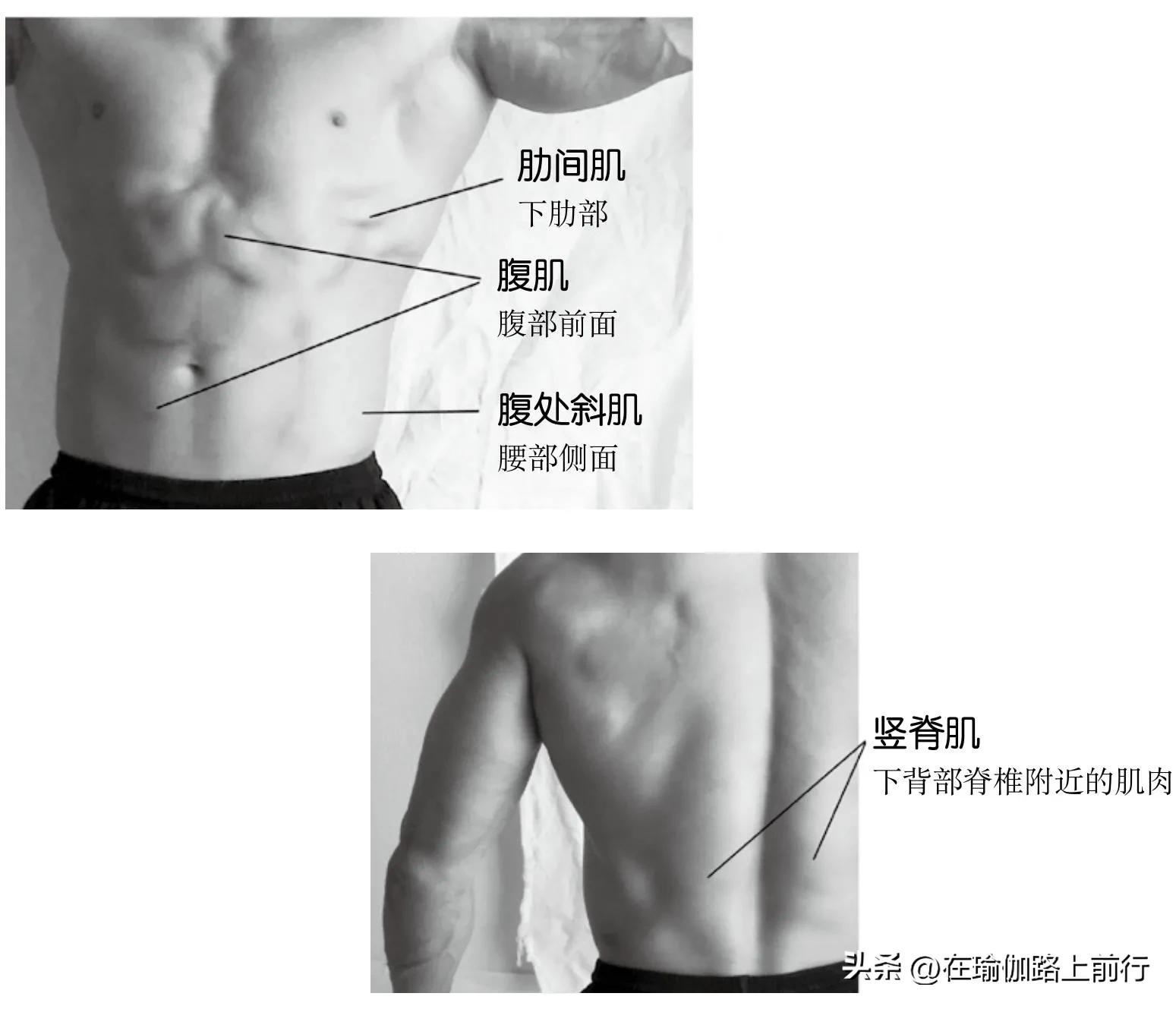 无器械健身-核心练习