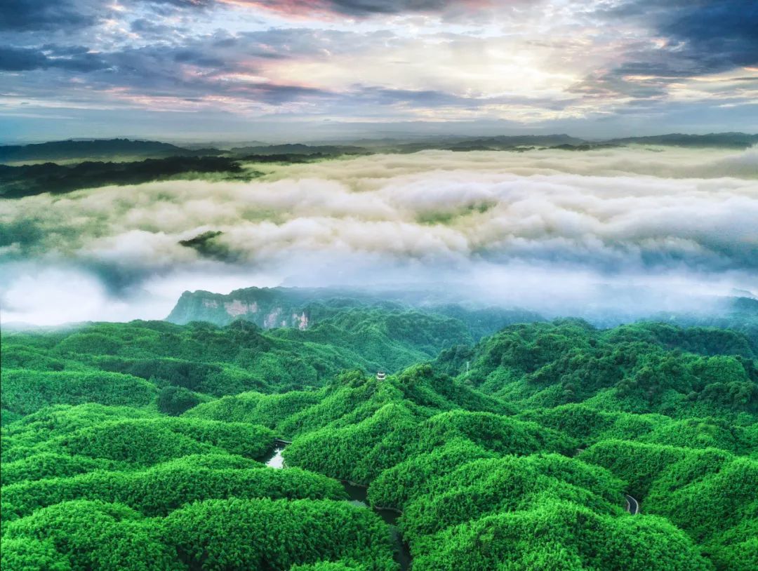 超燃多巴胺彩虹跑,多巴胺超燃视频
