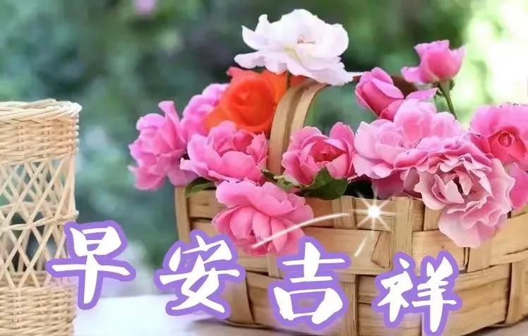 早安图片带字早安祝福语大全,2018早安语录带字图片