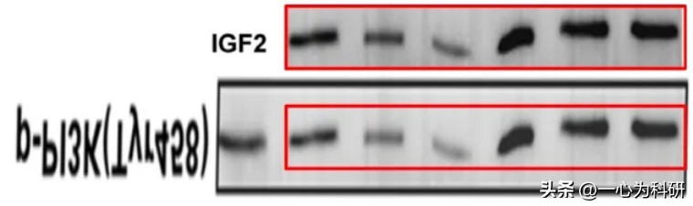 与他人作品内容相似,与他人论文雷同