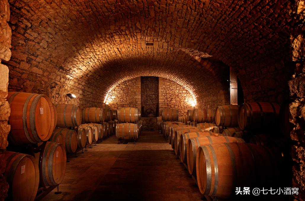 阿玛罗尼红酒值得拥有吗,意大利最具代表性的红酒