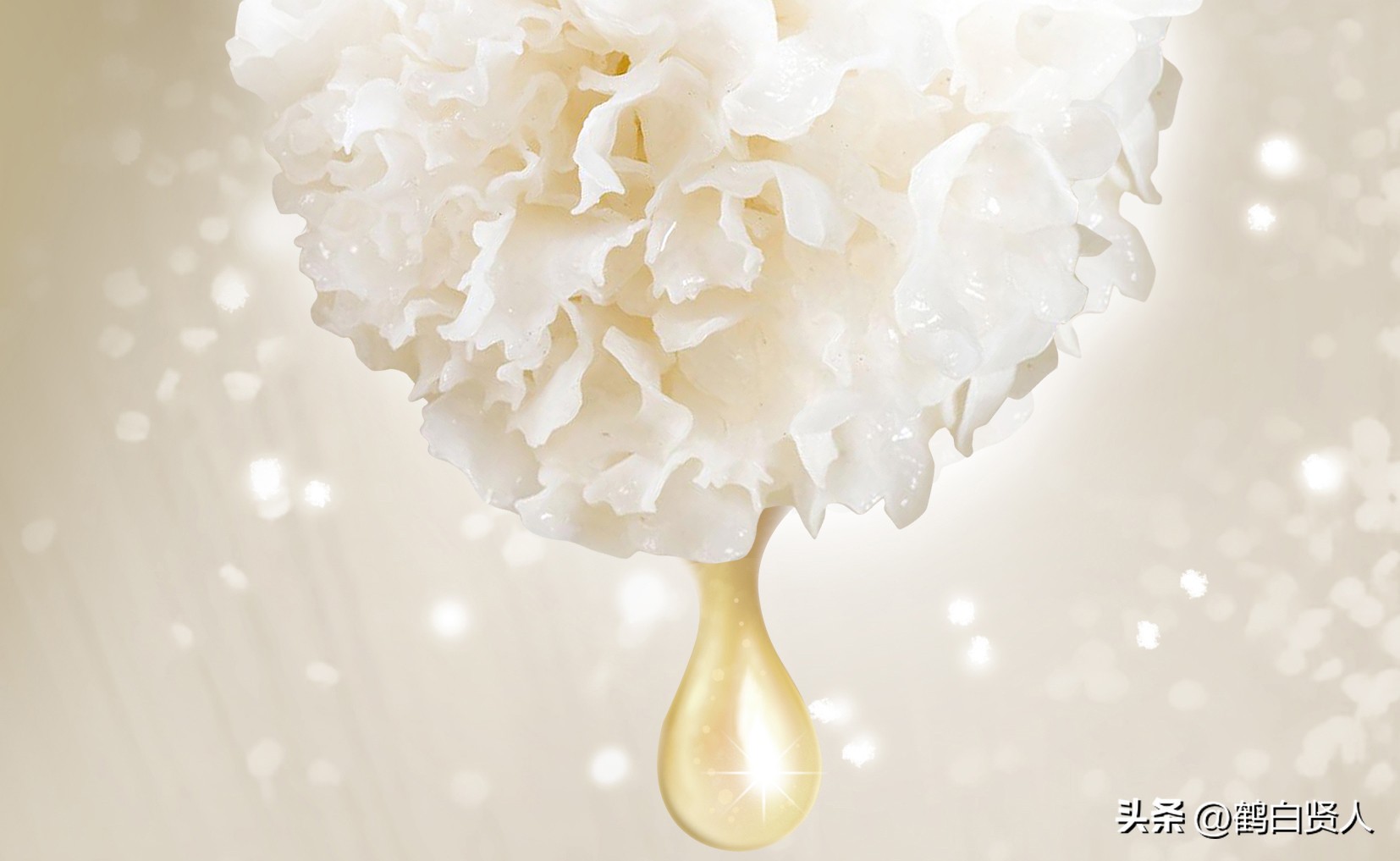 蓝藻的前世今生,蓝藻前世今生