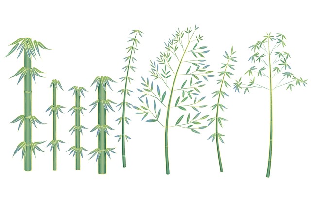 你知道花中四君子的来历吗,我们常说的花中四君子有哪些