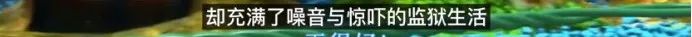 95后女孩过“穷酸”生活，不用卫生巾、一条裤子穿10年，好快乐