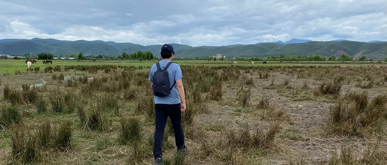 我的梦想小米,我的梦想我的选择雷军