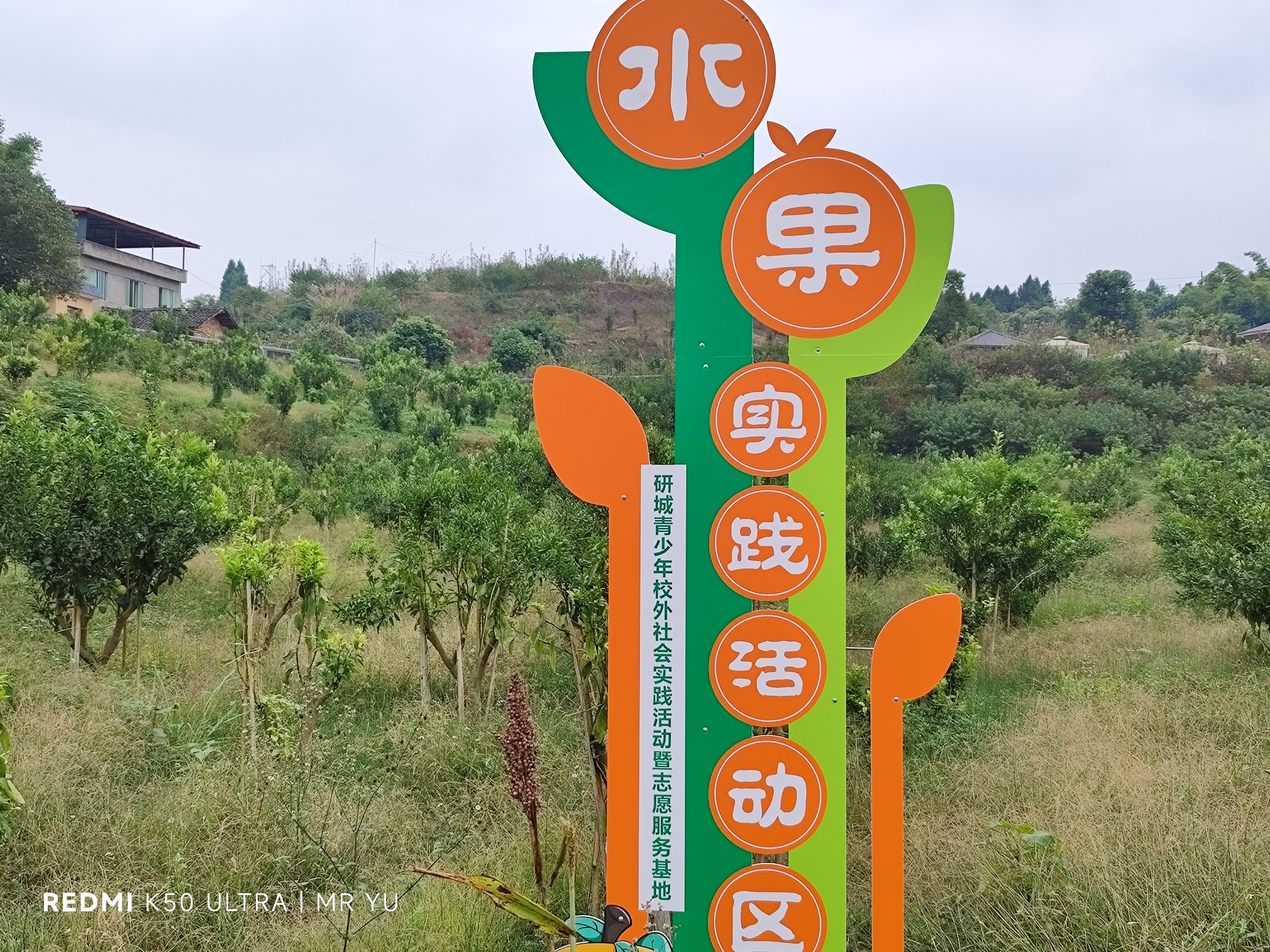 红米k50至尊版各方面实测,红米k50至尊版使用后评价