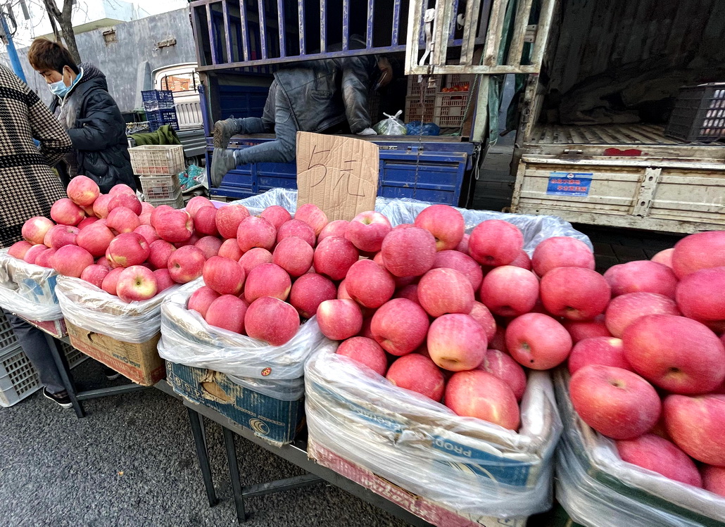 带大家看看东北早市物价多便宜,看东北早市物价冬天囤菜