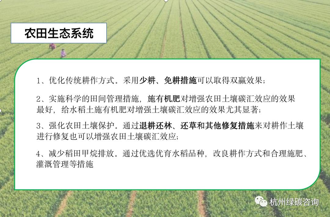 没有资源怎么开发林业碳汇,如何让林业碳汇项目变得容易