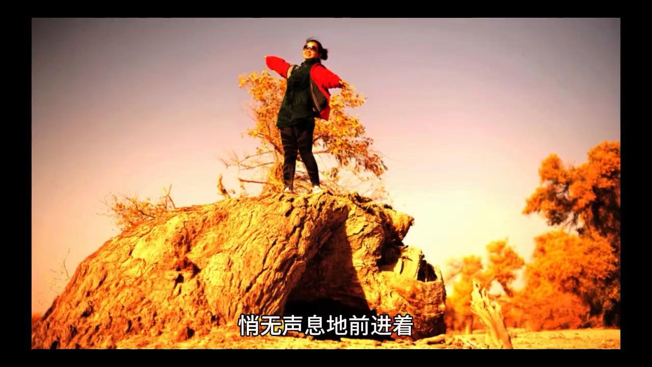 胡杨之美,原创胡杨林