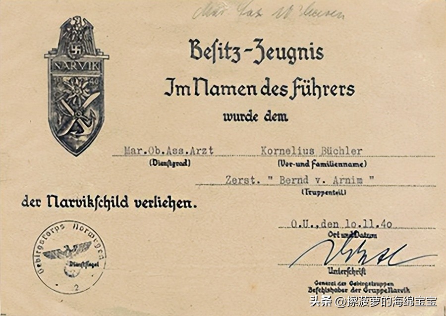 霍尔姆盾章二战德国,二战德国军奖章