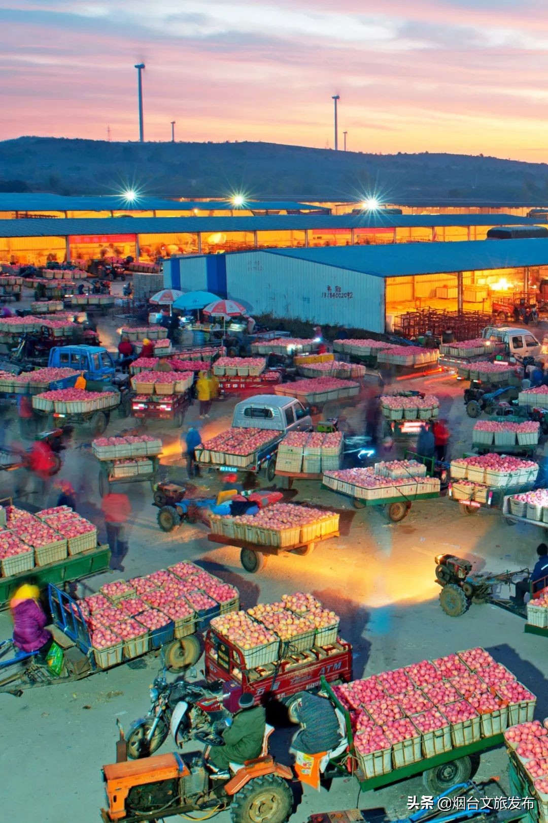 一到夏天，烟台就成了人们心心念念的消暑天堂！