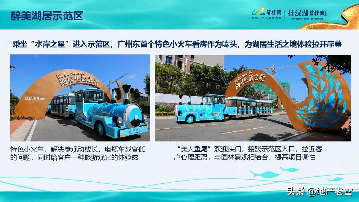 碧桂园精准发展方案,碧桂园的商品房改造方案