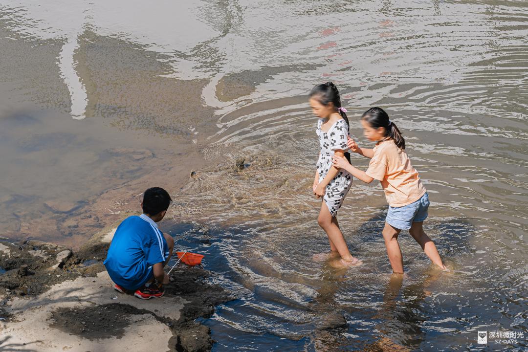 深莞交界处，一个城中村三代家庭的“人世间”