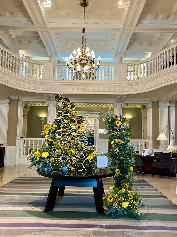 欧洲之行高清完整版,英国旅行记之爱丁堡