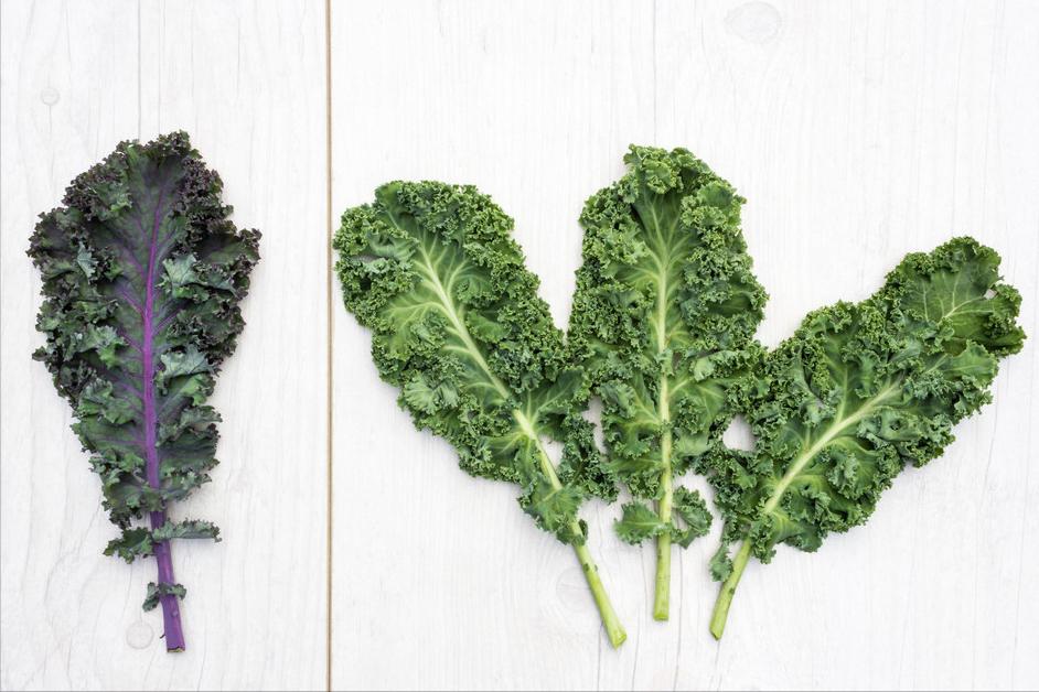 怎么区分各种蔬菜,各种蔬菜的识别