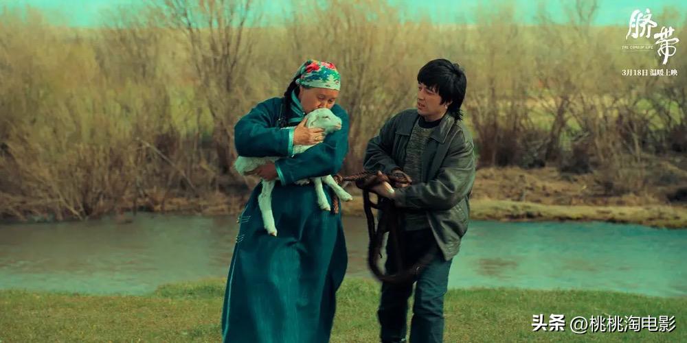 最新院线新片,最近院线新片