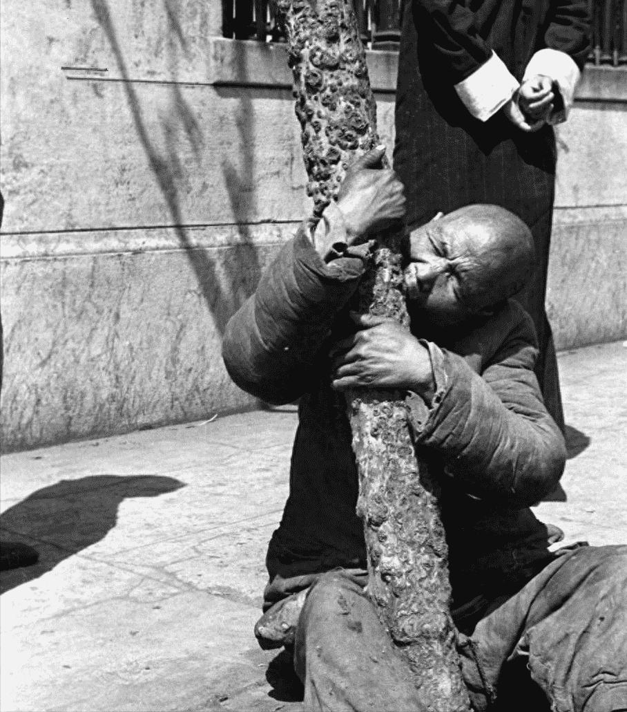 鏃ユ湰渚靛崕鍏借鐓х墖,鏃ュ啗渚靛崕鍏借