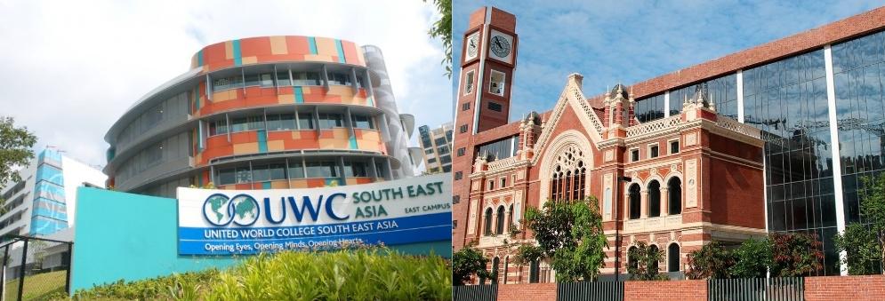 从上海国际学校离职后，我带儿子去新加坡继续“卷”，值得吗？