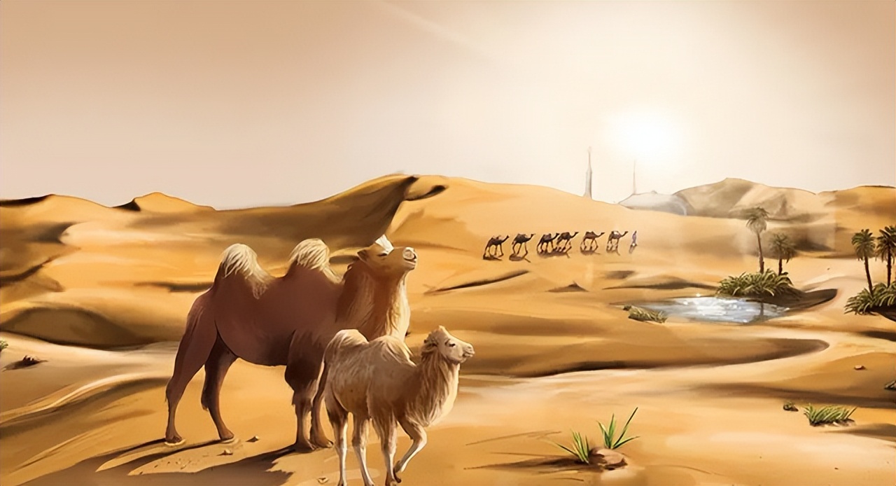 辨别真假驼奶看哪三点,如何鉴定驼奶的真假